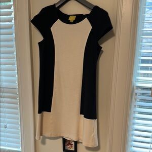 Anthropologie Black and Cream Sheath Dress with Raglan Sleeves